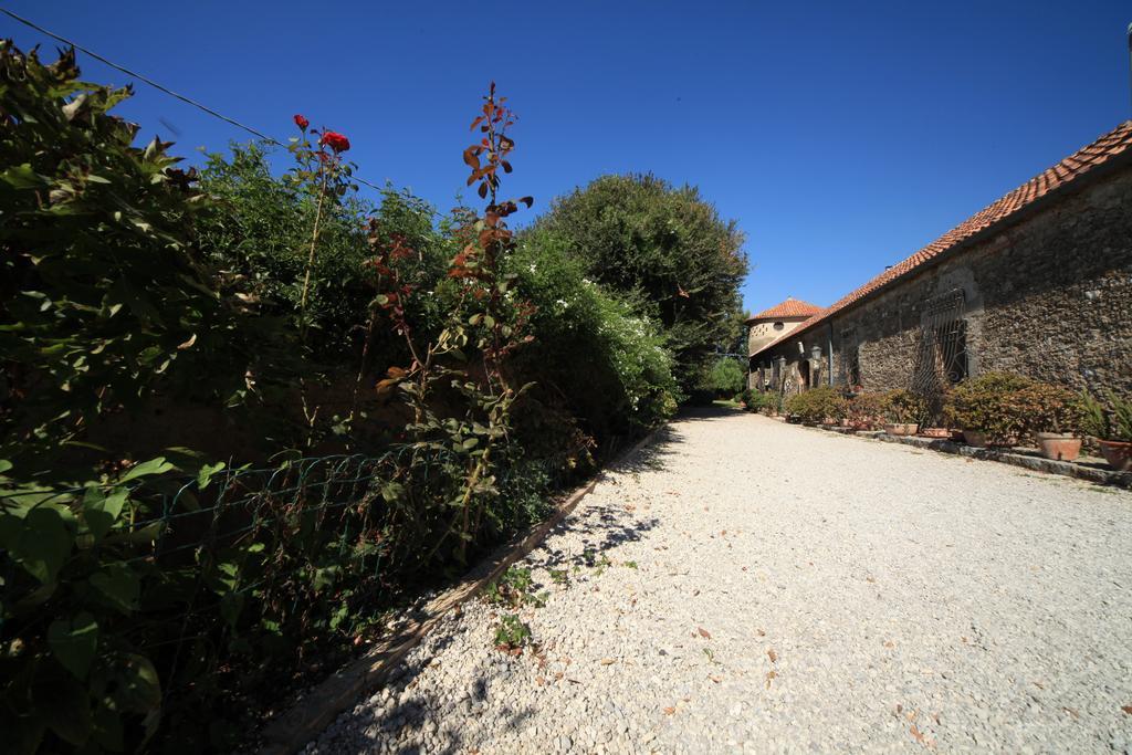 Azienda Agrituristica Seliano Paestum Exteriér fotografie